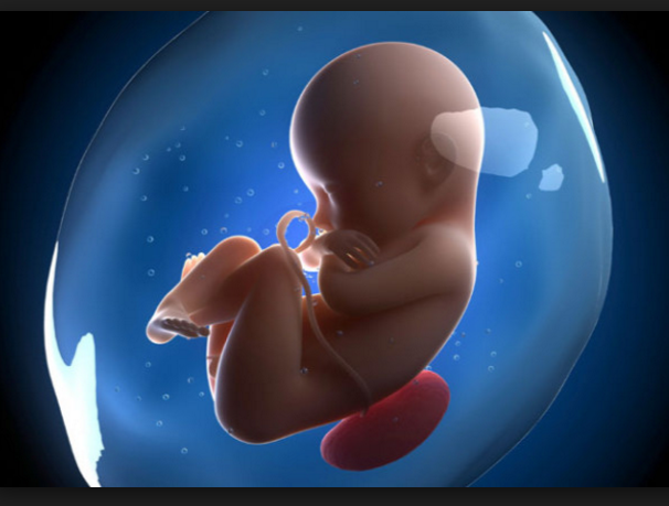 Screen Shot 2016-03-05 at 3.15.53 PM