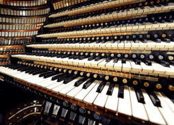 Screen Shot 2018-02-07 at 5.25.13 PM