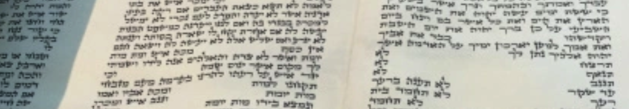 Screen Shot 2018-11-27 at 10.36.45 AM