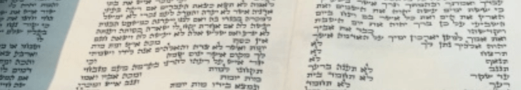 Screen Shot 2018-11-27 at 10.36.45 AM